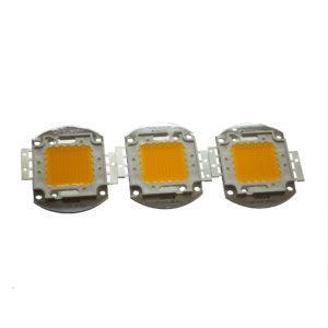 bong led pha 100w