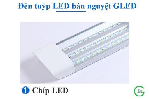 Đèn tuýp LED bán nguyệt đầu vuông 0.6m GLED 36W giá rẻ