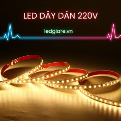 ĐÈN LED DÂY DÁN 220V 2835 CUỘN 100 MÉT